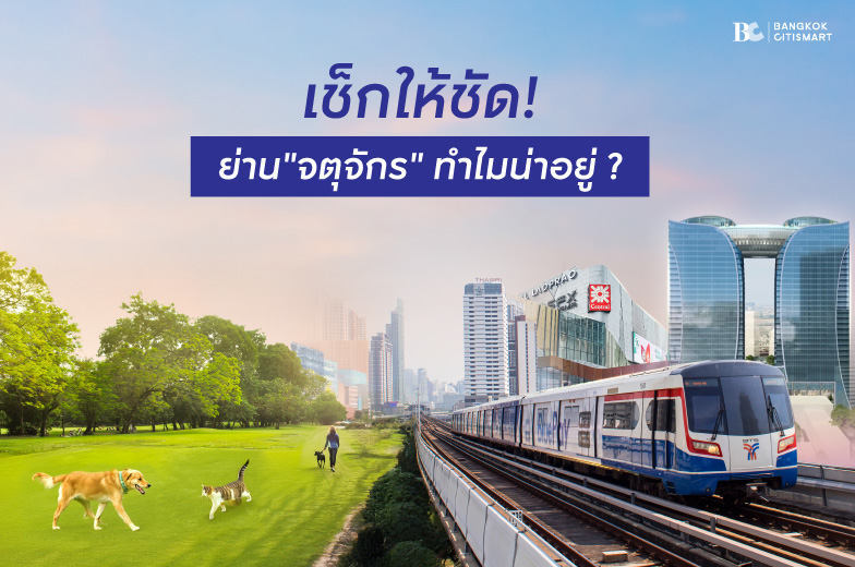 เช็กให้ชัดทำไมทำเลย่านจตุจักร ถึงน่าอยู่อาศัยและน่าลงทุน