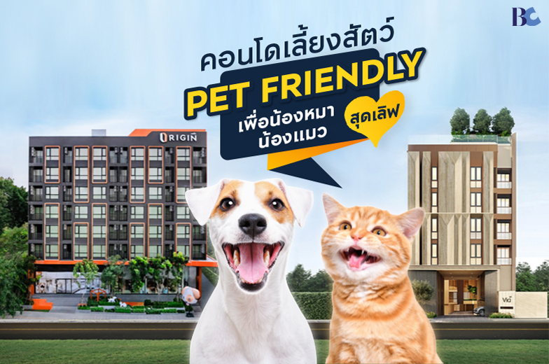 รวม 15 คอนโดเลี้ยงสัตว์ Pet Friendly ทำเลเมือง ตอบโจทย์คนรักน้องหมาและน้องแมว