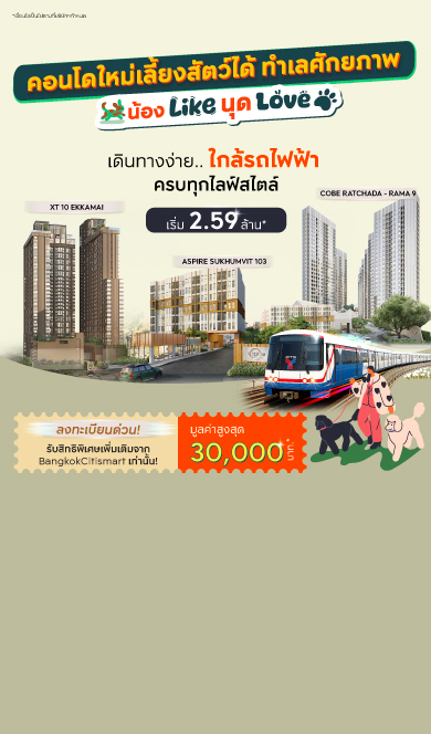 ตัวแทนอสังหาตัวจริงของคุณ