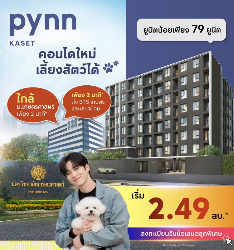 PYNN Kaset