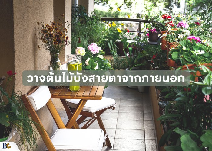 วางต้นไม้บังสายตาจากภายนอก.jpg