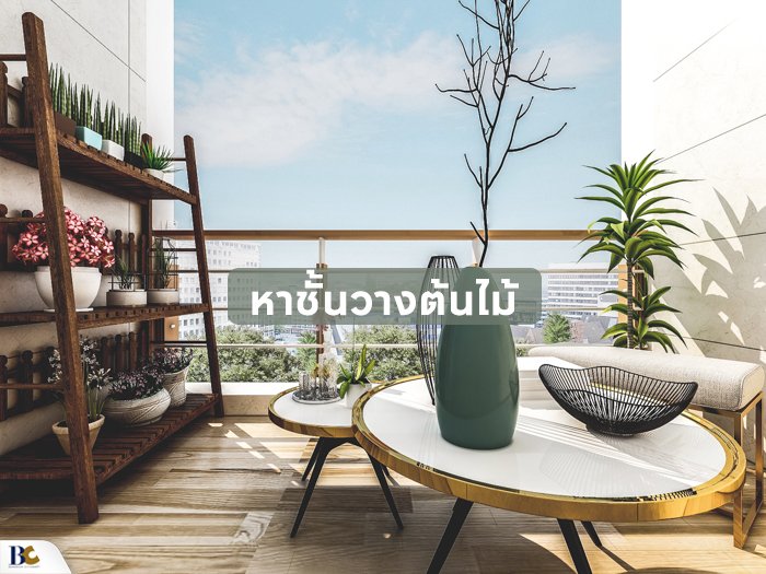 หาชั้นไม้วางต้นไม้.jpg