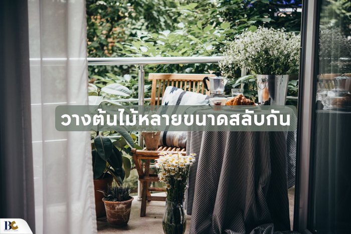 วางต้นไม้หลายขนาดสลับกัน.jpg