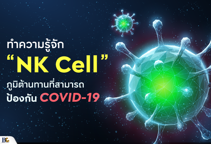 NK Cell ภูมิต้านทานป้องกัน COVID-19.png