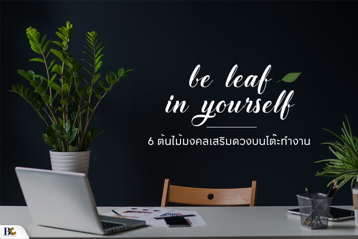 ต้นไม้มงคลบนโต๊ะทํางาน 2564.jpg