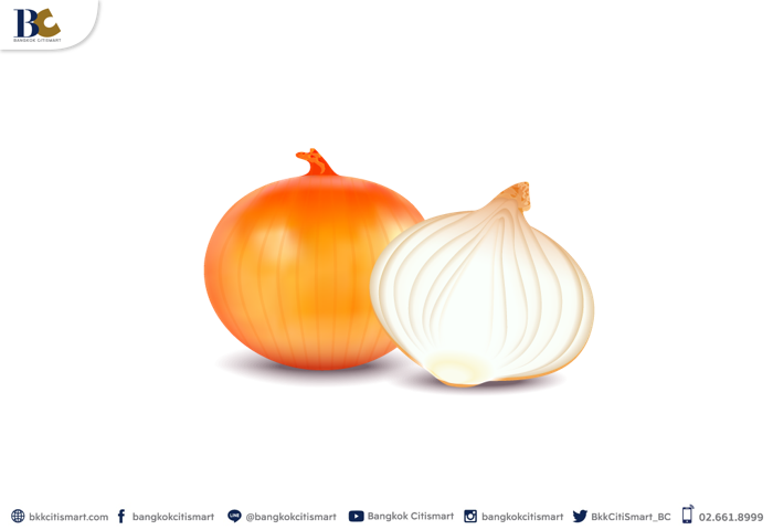 วิธีไล่ตุ๊กแกออกจากบ้าน ด้วยหัวหอม.PNG