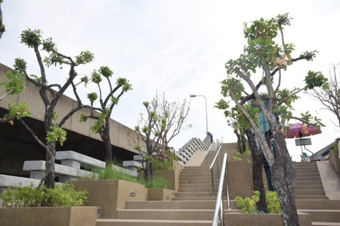 สวนลอยฟ้า.jpg